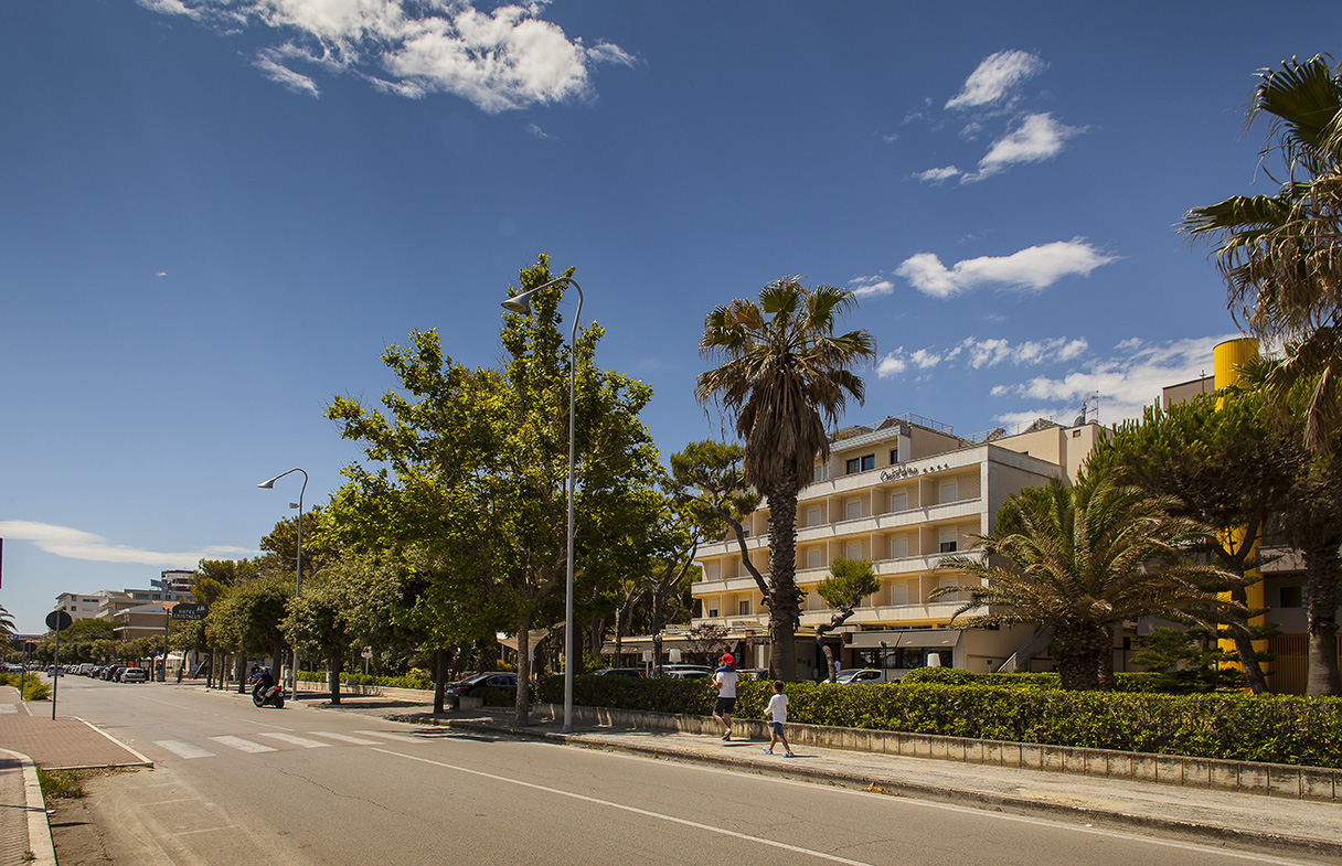 Hotel - CRISTALLO HOTEL Giulianova