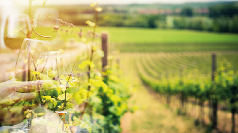 Vini tipici abruzzesi al Ristorante